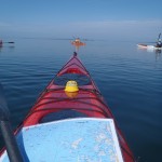 Havspaddling